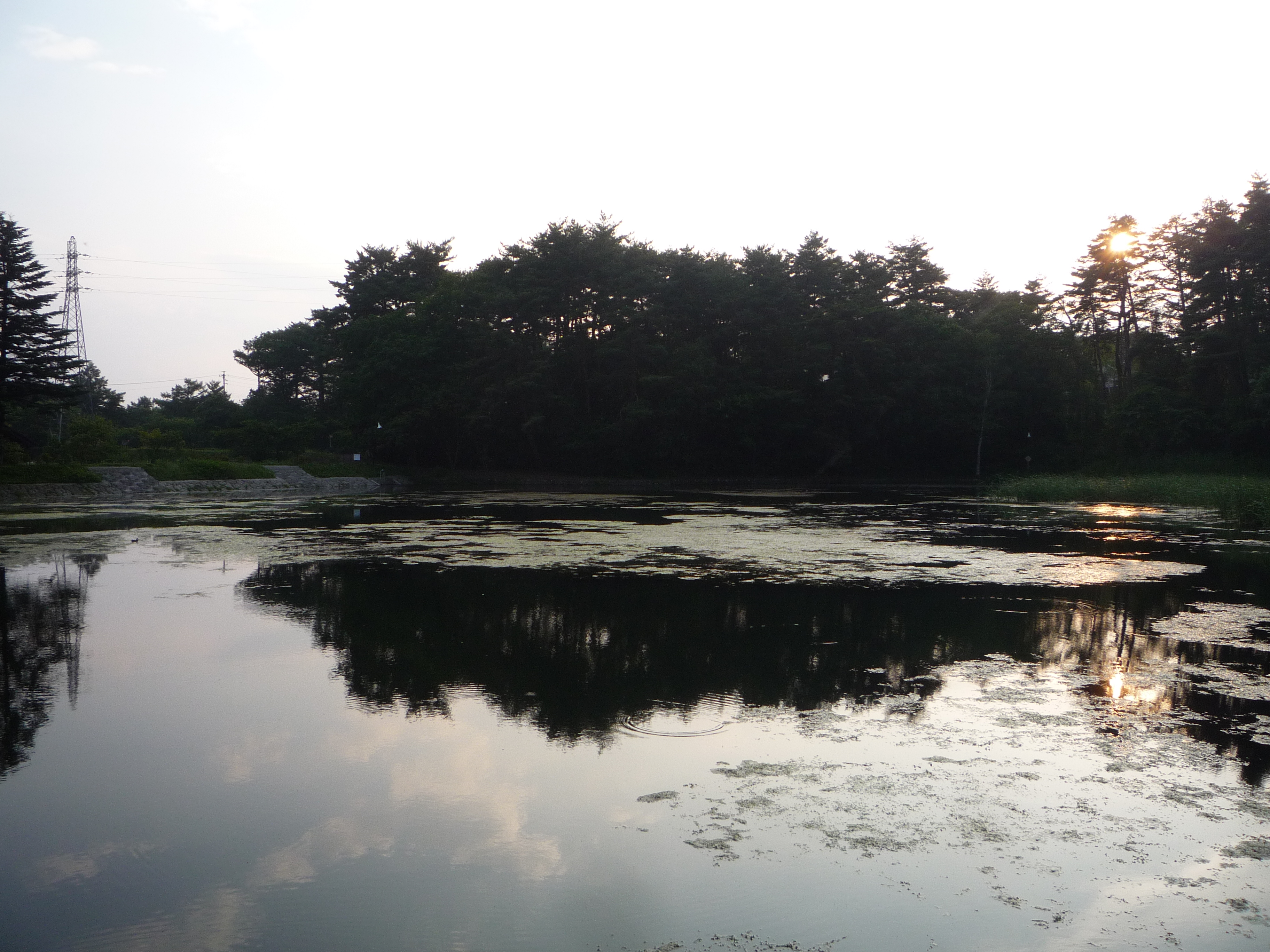 軽井沢近郊のお勧めスポット：お手軽釣り編 御代田町雪窓公園の雪窓湖 世界各国の雑貨のセレクトショップ大原商店